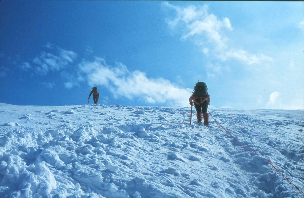 gesicherter Aufstieg über den Gletscher zum Ortlergipfel